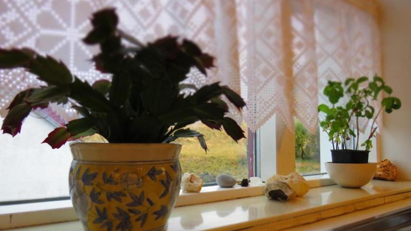 Guesthouse Kálfafellsstadur