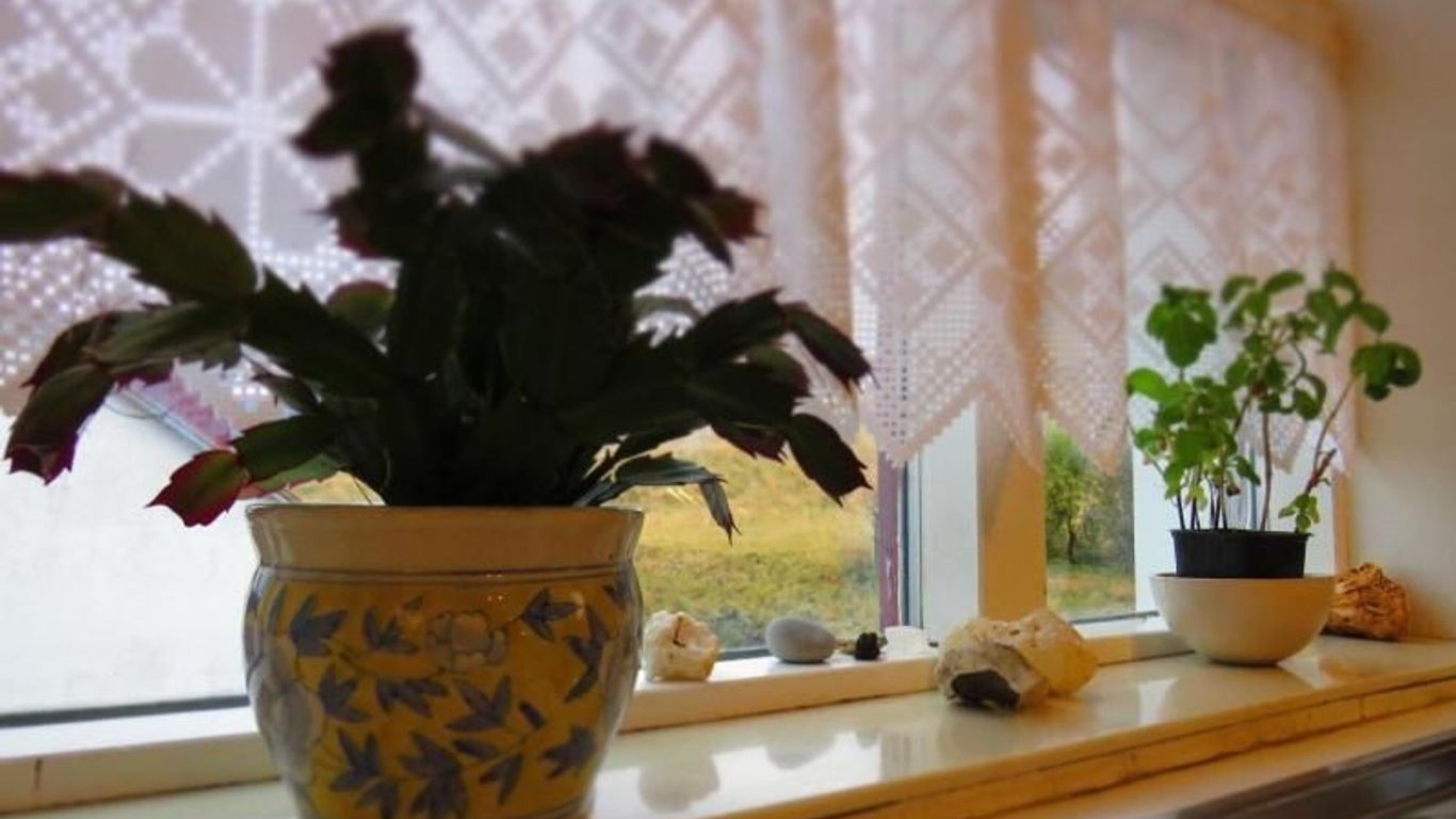 Kálfafellsstaður Guesthouse