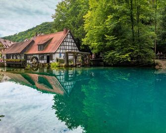 Abbate Boutique Hotel - Ulm - Pool