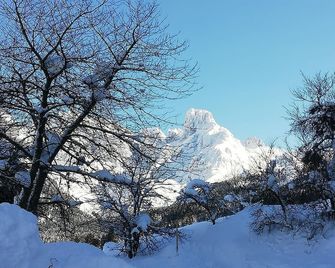 Payrhof - Annaberg im Lammertal - Outdoor view