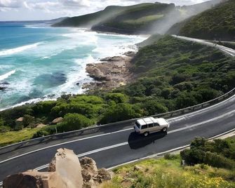 Plum Tree Cottage - Apollo Bay