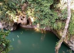 Green Lodge Tangkahan - Bohorok - Pool