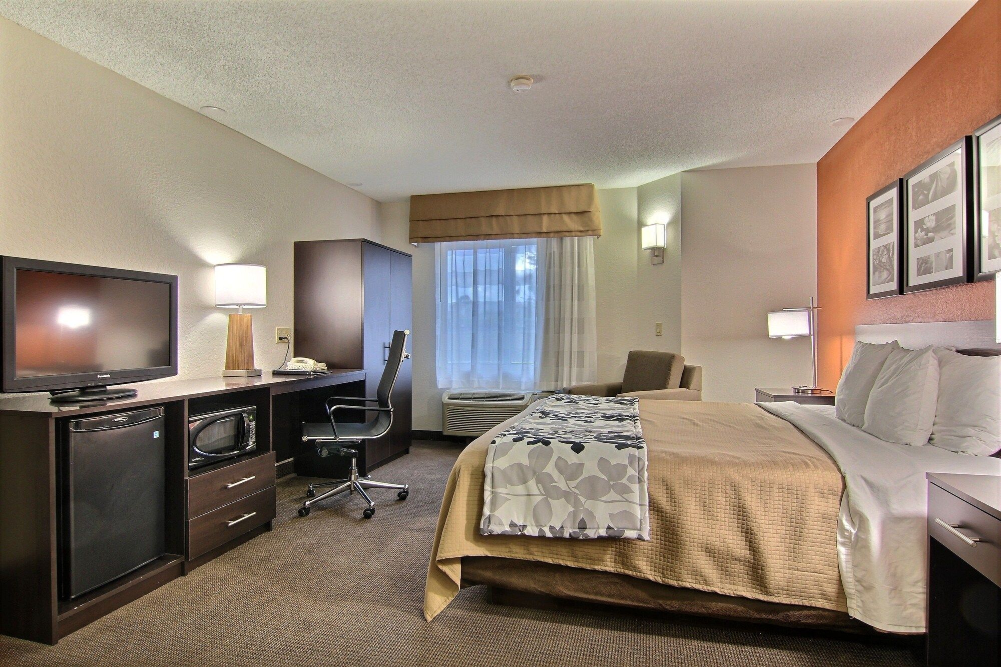 Sleep Inn Ormond Beach - Daytona - Ormond Beach