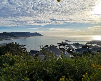Albatross Guest House - Simon's Town - Näkymät ulkona