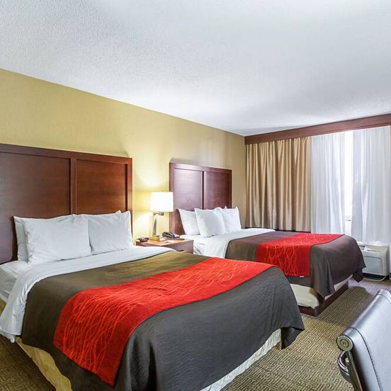 Bedroom view of Comfort Inn Downtown