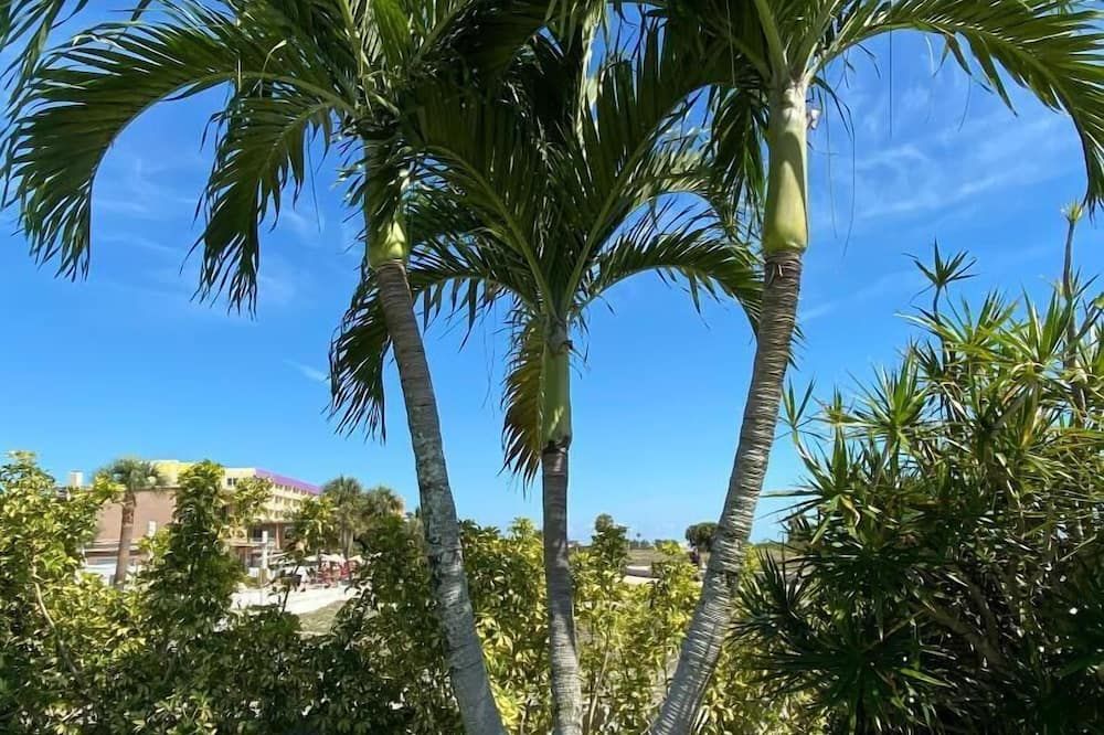 Beachside Resort Motel - Treasure Island - Outdoor view