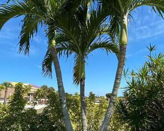 Beachside Resort Motel - Treasure Island - Outdoors view
