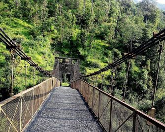 The Silent Valley Along River Kalsa - Bhimtal