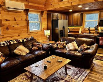 Mountain Tranquility, 1 Bedroom cabin secluded in the mountains of E Tennessee - Jonesborough - Living room