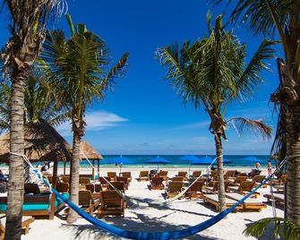 Hotel Ojo De Agua - Puerto Morelos - Beach