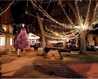 St Augustine Downtown Historic District, Fl - סנט אוגוסטין - דלפק קבלה