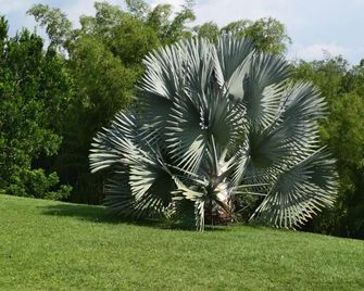 Finca Hotel Santana Campestre Quindio - Quimbaya - Buiten zicht