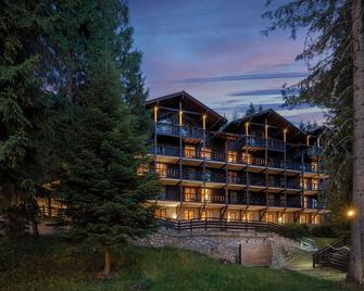 Ana Hotels Bradul Poiana Brasov - פויאנה ברשוב - בניין