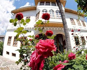 Bosnian National Monument Muslibegovic House - Mostar - Outdoor view
