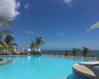 Bearland Paradise Resort - Tigbauan - Piscina