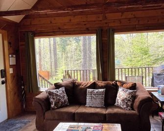 Mt Rainier Little Red Cabin - Ashford - Salon