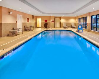 Towneplace Suites By Marriott Detroit Belleville - Belleville - Zwembad