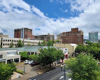 Downtown Inn - Asheville - Vista externa