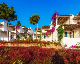 Sunset Mavi - Turgutreis - Κτίριο