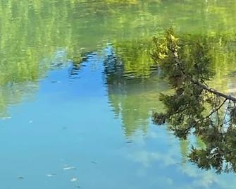 Basement Area - Pocatello