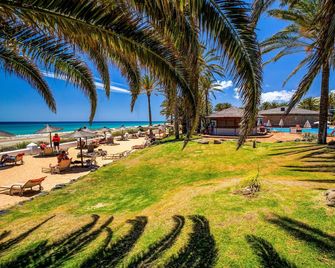 Sbh Costa Calma Palace Thalasso & Spa - Costa Calma - Beach