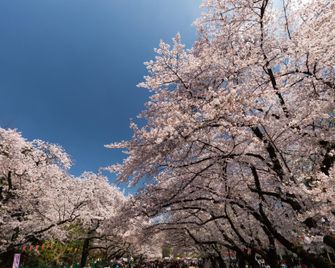Private Bed Room at 1min walk to Tokyo Metro Nishigahara Station - Tokyo - Vista esterna