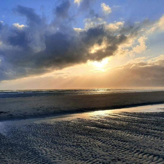 6 person holiday home in Fanø – Fanø