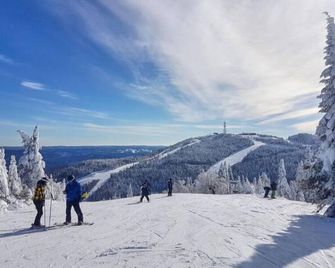 La Brise de Tremblant - Mont-Tremblant - Annehmlichkeit