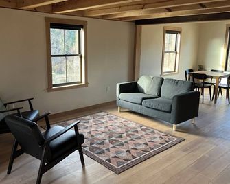 Cozy cabin with WiFi and AC in lovely Lynchburg - Lynchburg - Living room