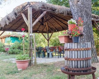 Artisti Del Cavallo Tourism - Foiano della Chiana - Patio