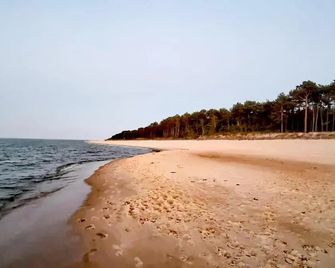 Polwysep Natura Tour - Jastarnia - Beach