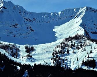 Polar Peak Mountain Side Ski-in Town Home (Owners' Unit) With Hot Tub - Fernie