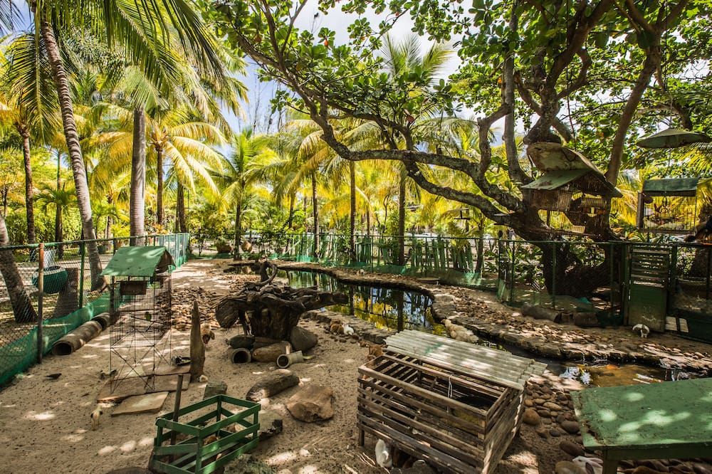 Catussaba Suítes Resort - Salvador da Bahia