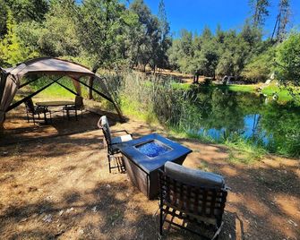 Peaceful Pond Retreat - Waterfront Camper Glamping - Grass Valley - Patio