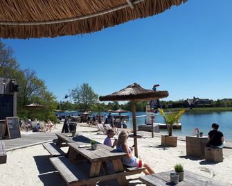 아파트먼트 프롤링 - 우타르프 - 해변