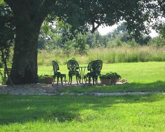 Rural Cottage With Private Pool in tranquil setting of 25 acres - Murs - Patio