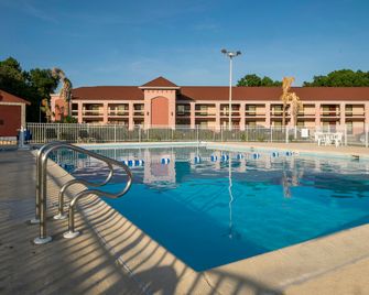 Red Roof Inn Virginia Beach - Norfolk Airport - וירג'יניה ביץ' - בריכה