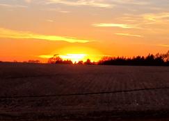 Sunset View beautiful quiet country 2-bedroom - Utica - 屋外の景色