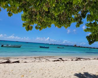 Jo J's Hostel - Oistins - Beach