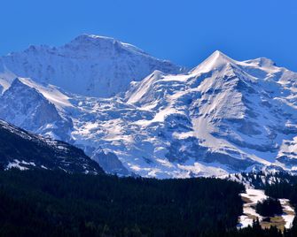 Edelweiss - Lauterbrunnen - Outdoor view