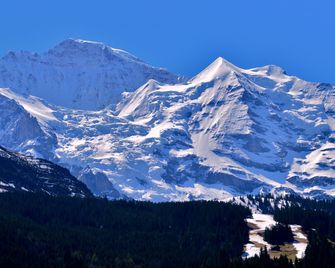 Hotel Edelweiss Wengen - Lauterbrunnen - Näkymät ulkona