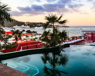 The Pink Palm Hotel - Adults Only - סנט תומאס - בריכה
