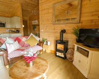 The Firs - Llanidloes - Living room
