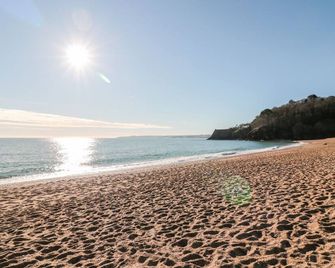 Yew Tree Cottage - Dartmouth - Beach