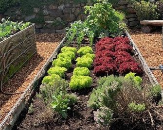 Harmony House - Handewitt