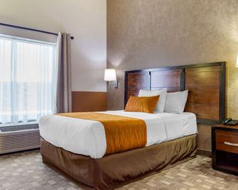 Comfort Inn Chihuahua - Chihuahua - Slaapkamer