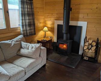 Pet Friendly - Lodge at Riverview Holiday Park - Newcastleton - Obývací pokoj