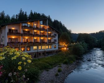 Sackmann Wanderhotel - Baiersbronn - Bygning
