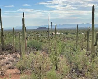 Saguaroglamp - Marana - Gebäude