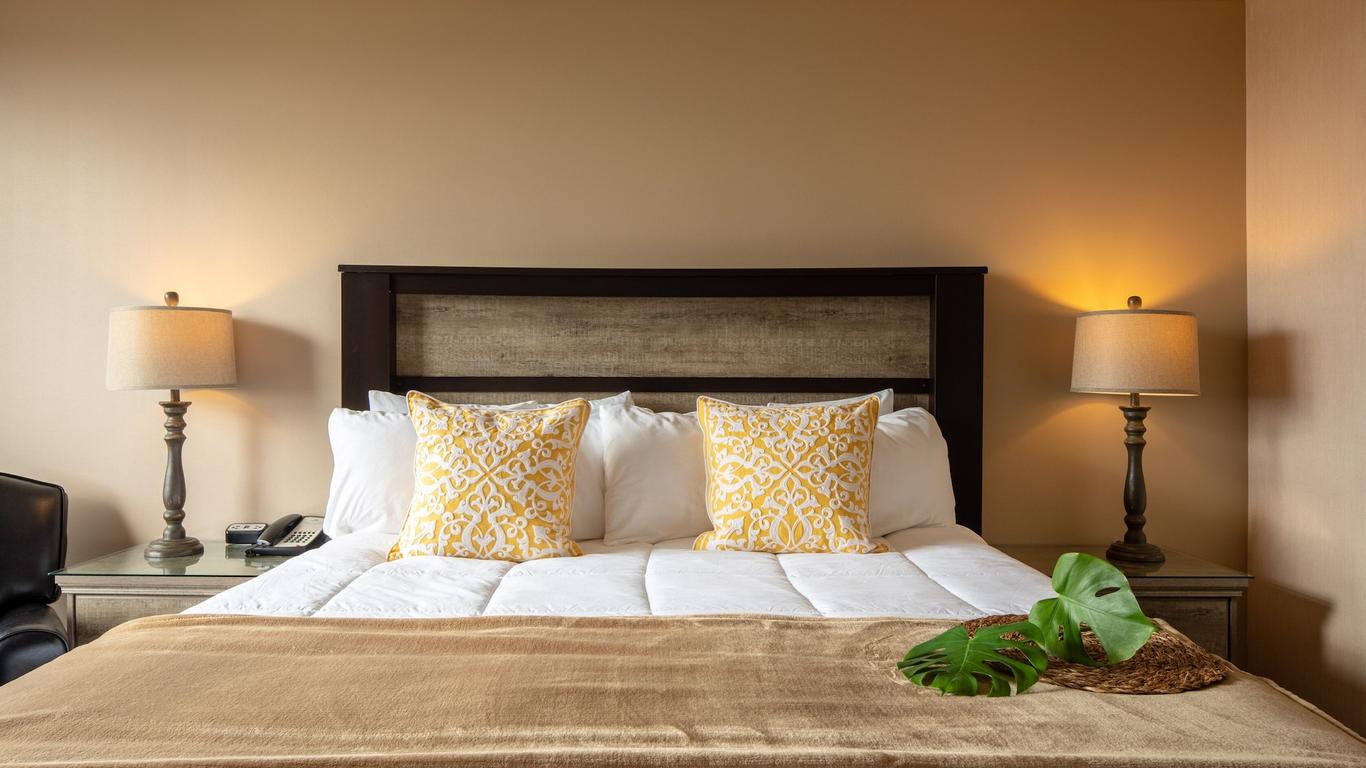 نيو جاردينا هوتل